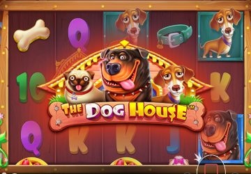 Microgaming - игровой автомат онлайн от Various с RTP 96.05%
